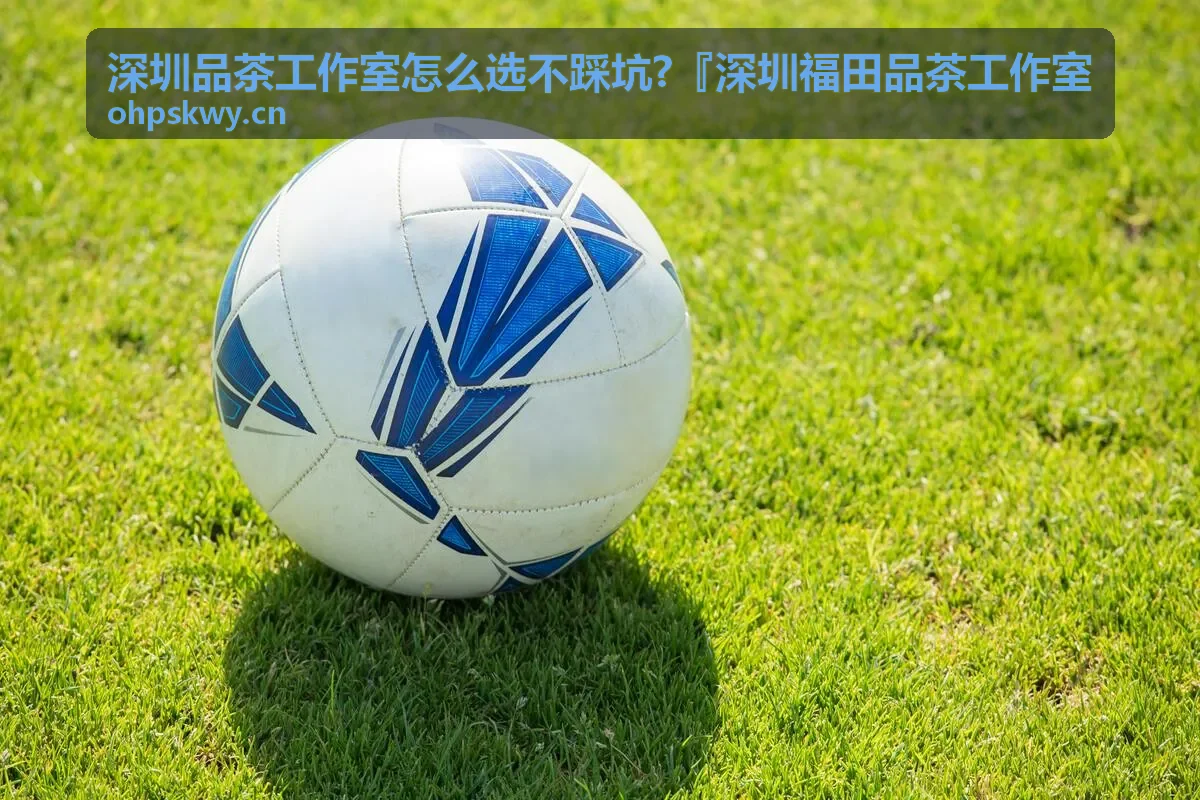深圳福田品茶工作室的茶叶展示柜和茶器收藏